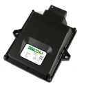 Bora OBD Ecu 4 cylinder (GP2012) 