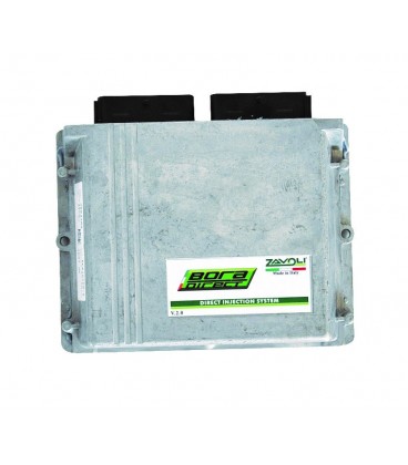 Bora Direct Ecu 6 Cylinder