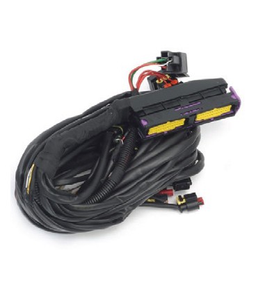 Bora Direct 6 cylinder general wiring