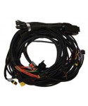 Bora Direct 8 cylinder general wiring 94 ways